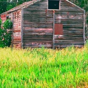 Meet your Posher, Heidi